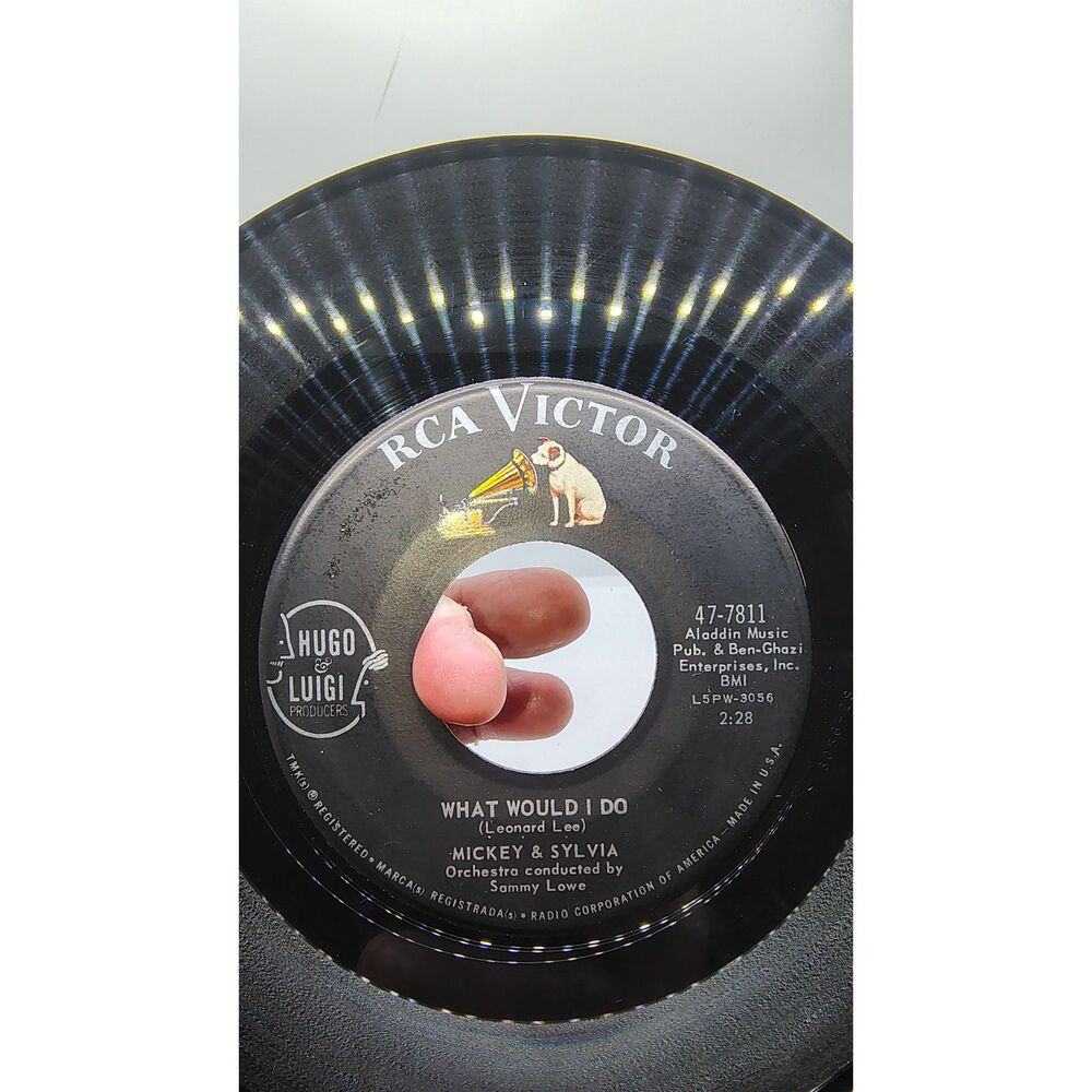 Mickey & Sylvia RCA Victor - What Would I Do / This is My Story 45 record 1961